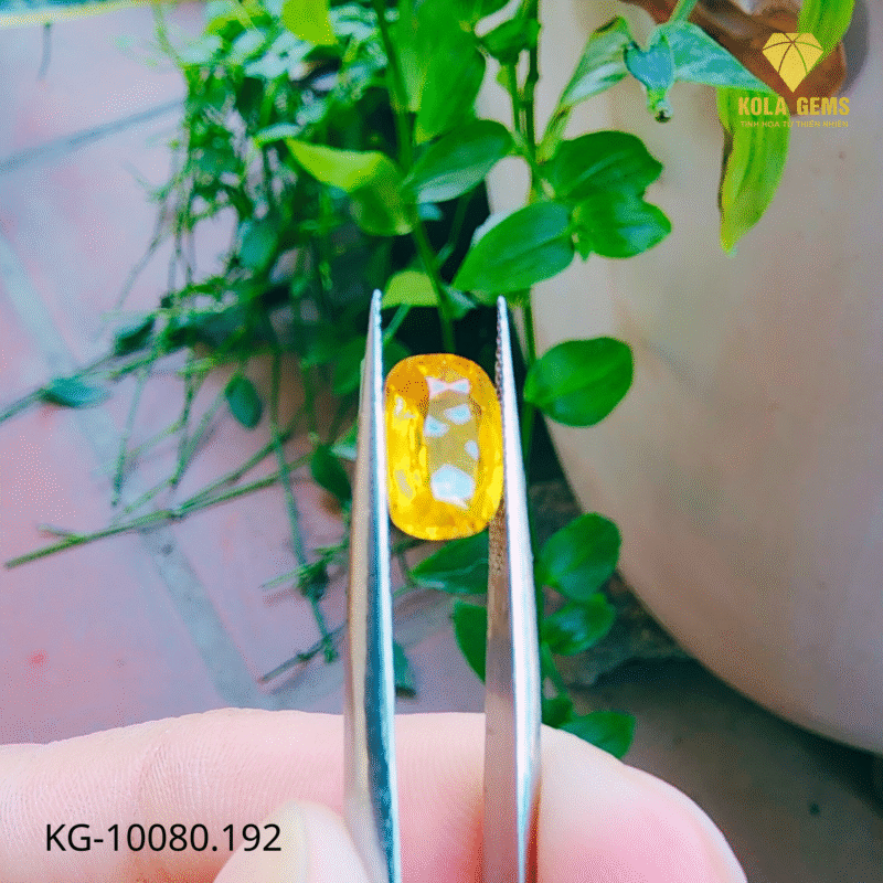 Sapphire Vàng Tự nhiên KG -10080.192