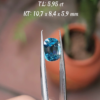 Zincon Xanh Dương Tự Nhiên L93.1.5